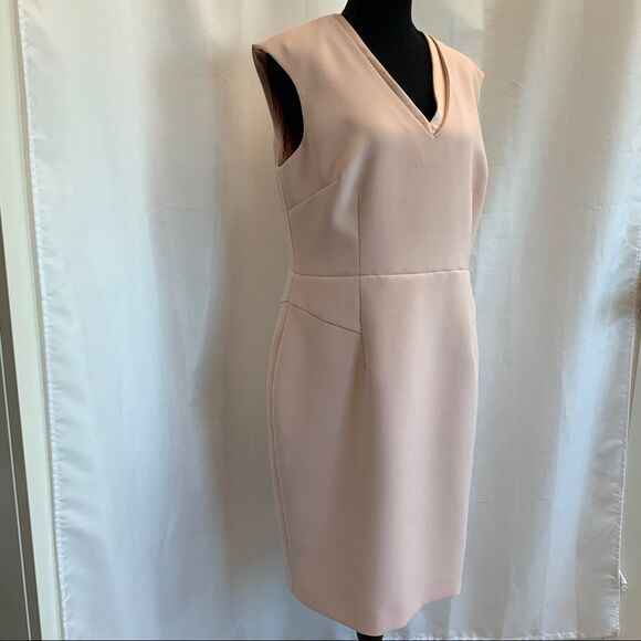 Hobbs Frida V-neck Shift Dress Pastel Pale Pink Sz 10 NWOT - Picture 8 of 17